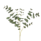 Eucalyptus Spray 90cm