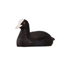 Eurasian Coot Bottle Opener