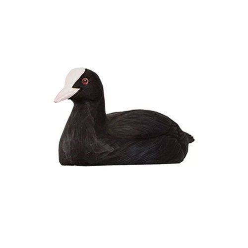 Eurasian Coot Bottle Opener