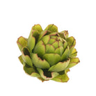 Faux Artichoke Head