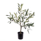 Faux Olive Plant