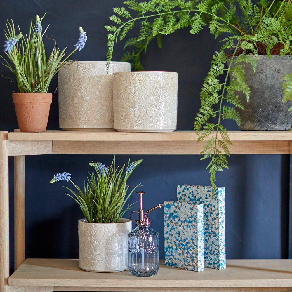 Fern Bush in Ceramic Pot