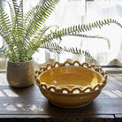 Fern in Khaki Ceramic Pot