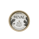 Fig Tree, Sea & Shore Pot - Angela Reed - 