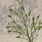 Frosted Mistletoe Spray