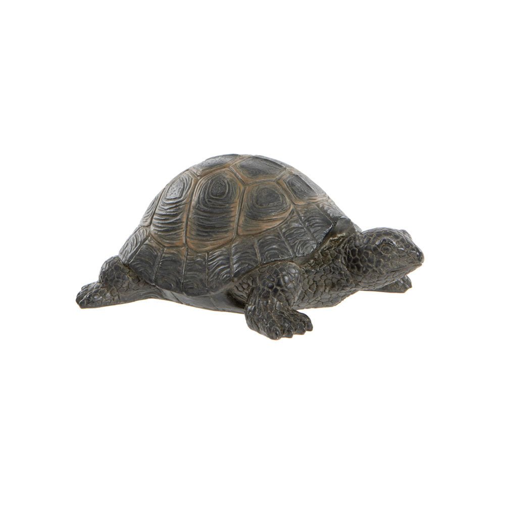 Garden Tortoise, Small