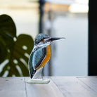 Glass Kingfisher - Angela Reed - 