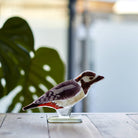 Glass Spotted Woodpecker - Angela Reed - 