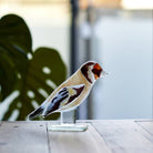 Goldfinch Glass Ornament - Angela Reed - 