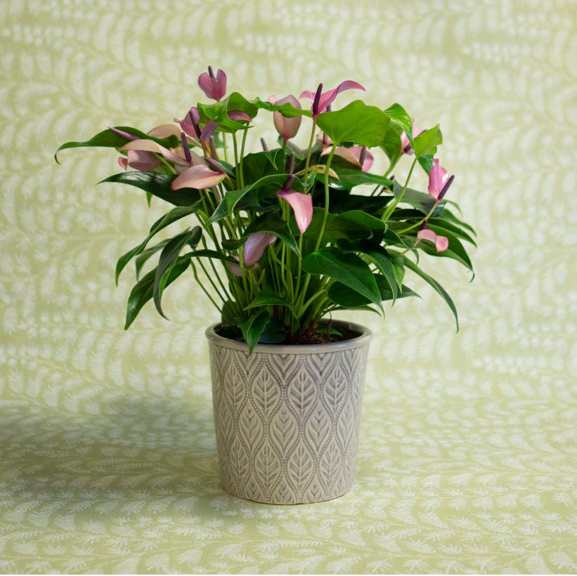 Grey Leaf Pot, Large