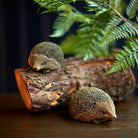 Hedgehog Small