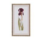 Iris Vintage Style Artwork