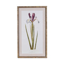 Iris Vintage Style Artwork