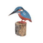 Kingfisher on a Stump