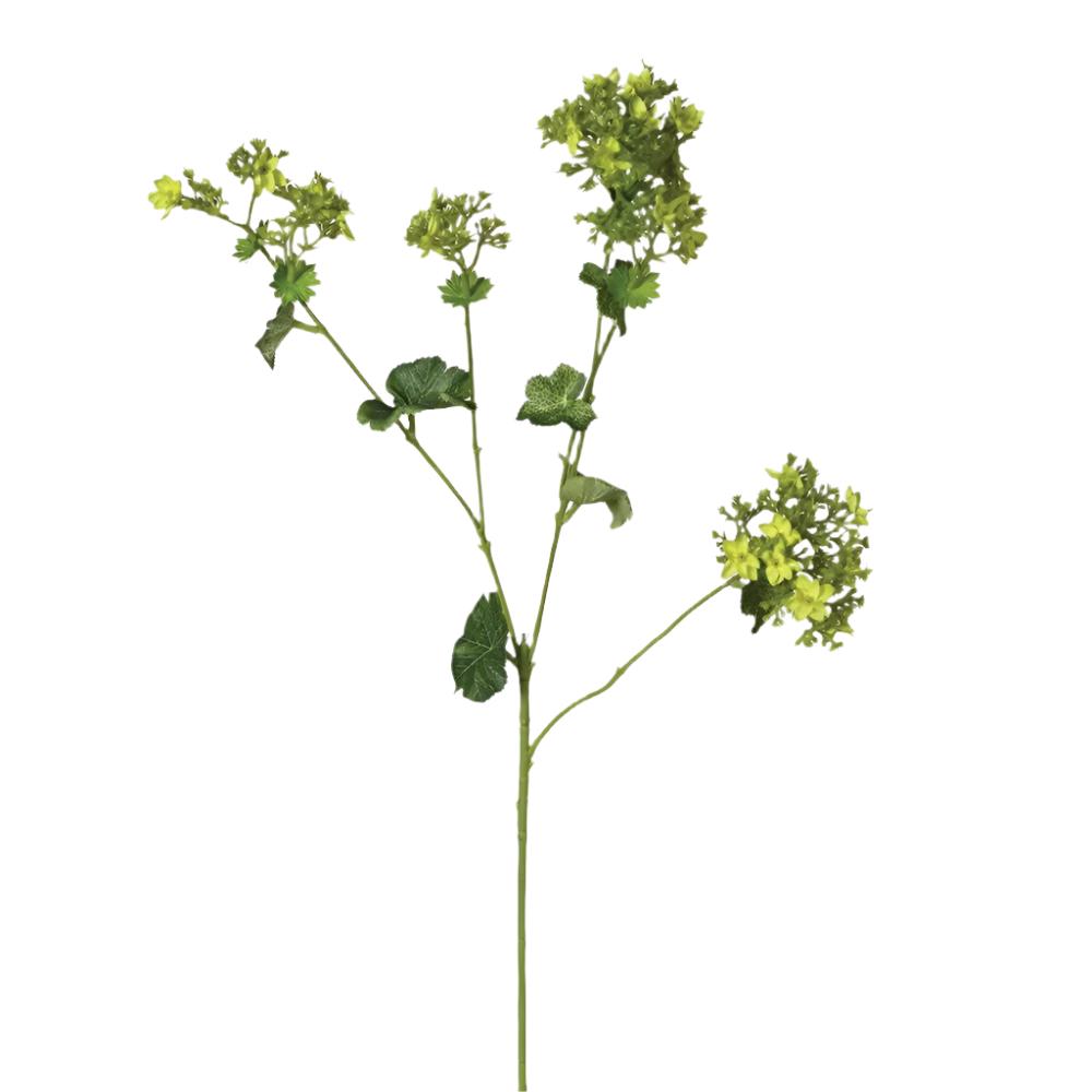Lady's Mantle Spray with Leaves