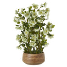 Large Green Hellebore in Taupe Pot - Angela Reed - 