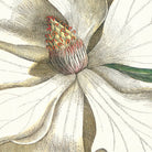 Laurel Tree Framed Canvas - Angela Reed - 