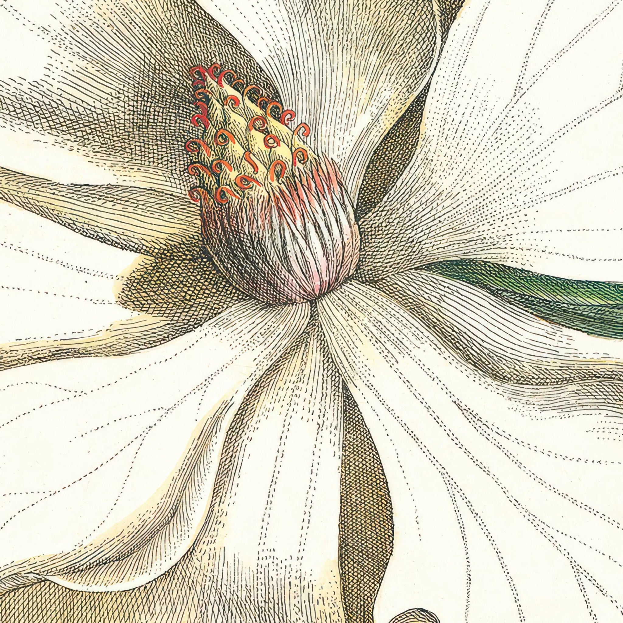 Laurel Tree Framed Canvas - Angela Reed - 