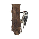 Lesser Spotted Woodpecker