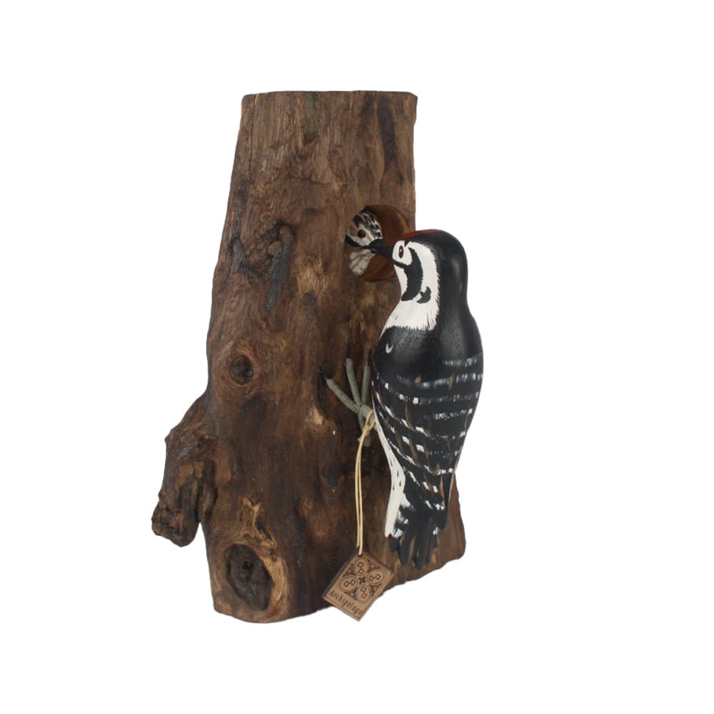 Lesser Spotted Woodpecker