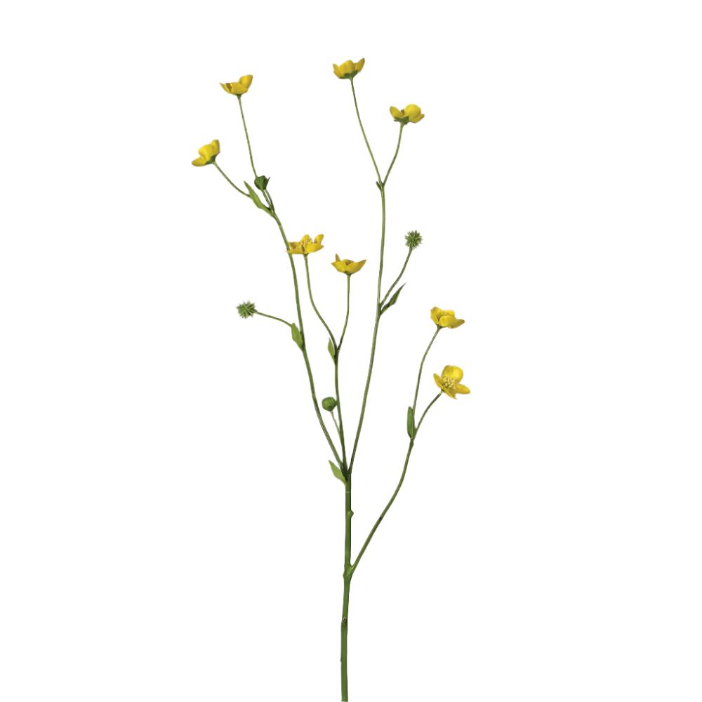 Meadow Buttercup Spray with Leaves
