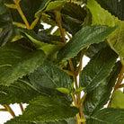 Medium Faux Green Hydrangea Plant In Pot - Angela Reed - 