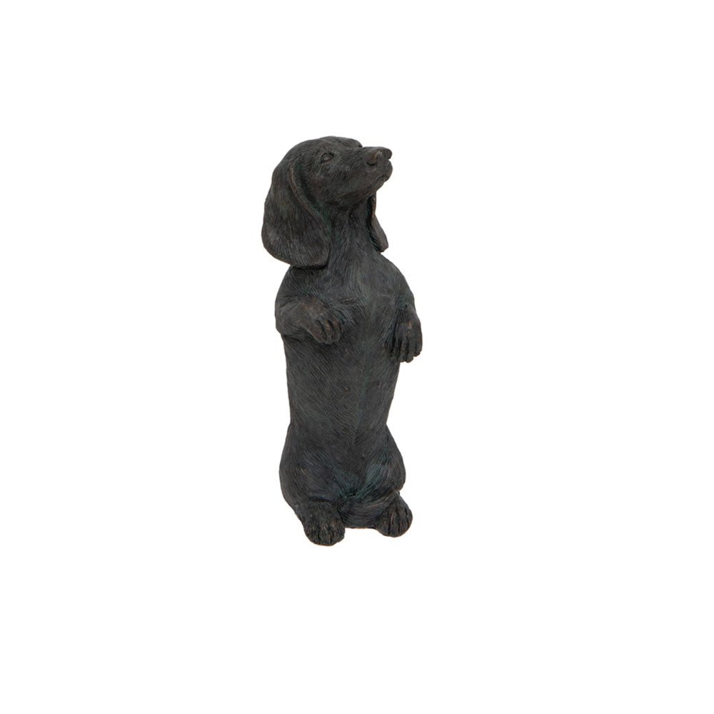 Mini Bronze Dachshund, Standing - Angela Reed - 