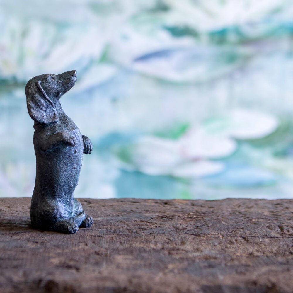 Mini Bronze Dachshund, Standing - Angela Reed - 