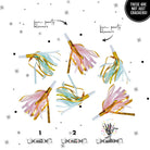 Novelty Crackertoa Crackers, Set of 6