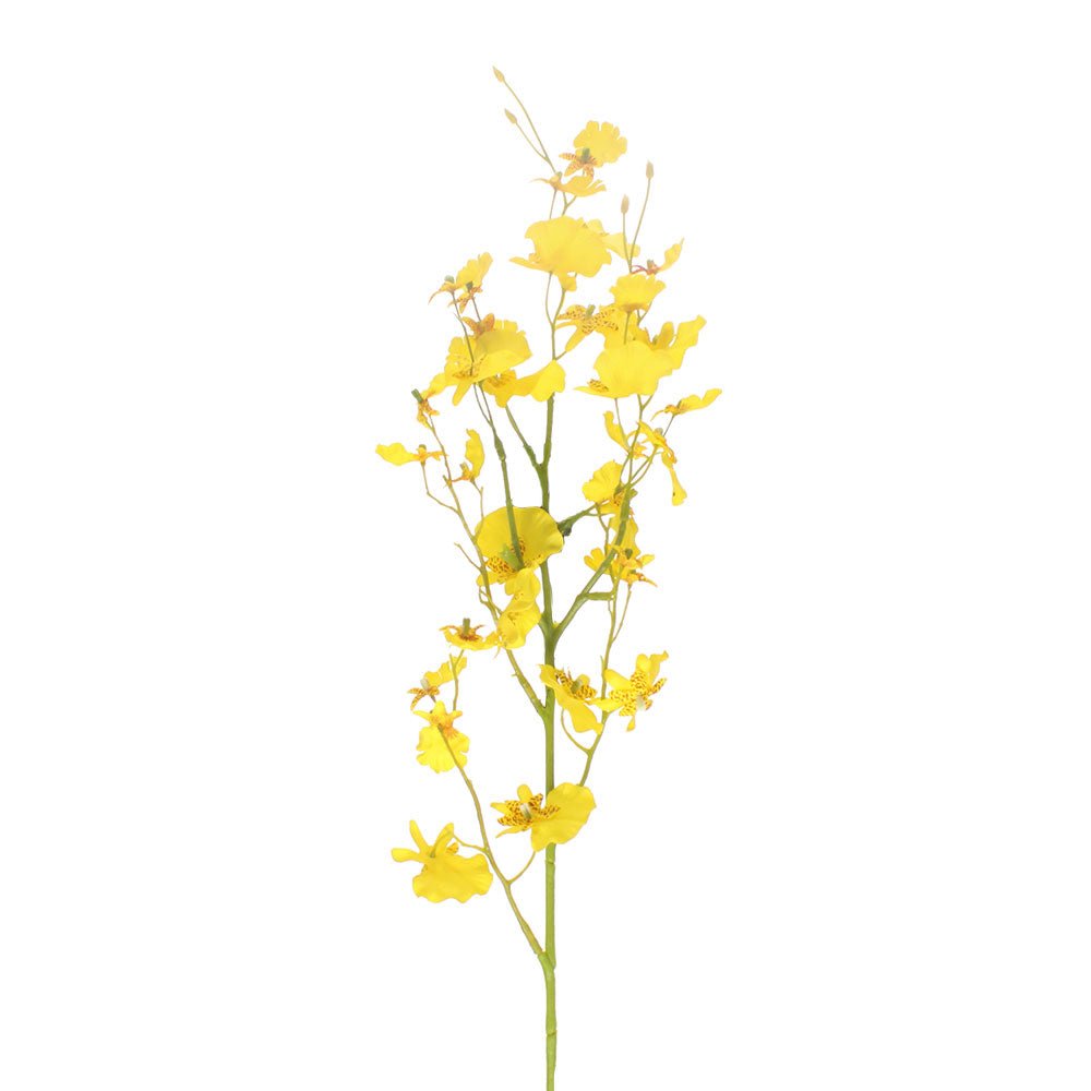 Oncidium Yellow - Angela Reed -