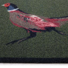 Outdoor Mat, Pheasant - Angela Reed - 
