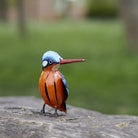 Painted Kingfisher - Angela Reed - 
