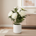 Peony In Pot, White