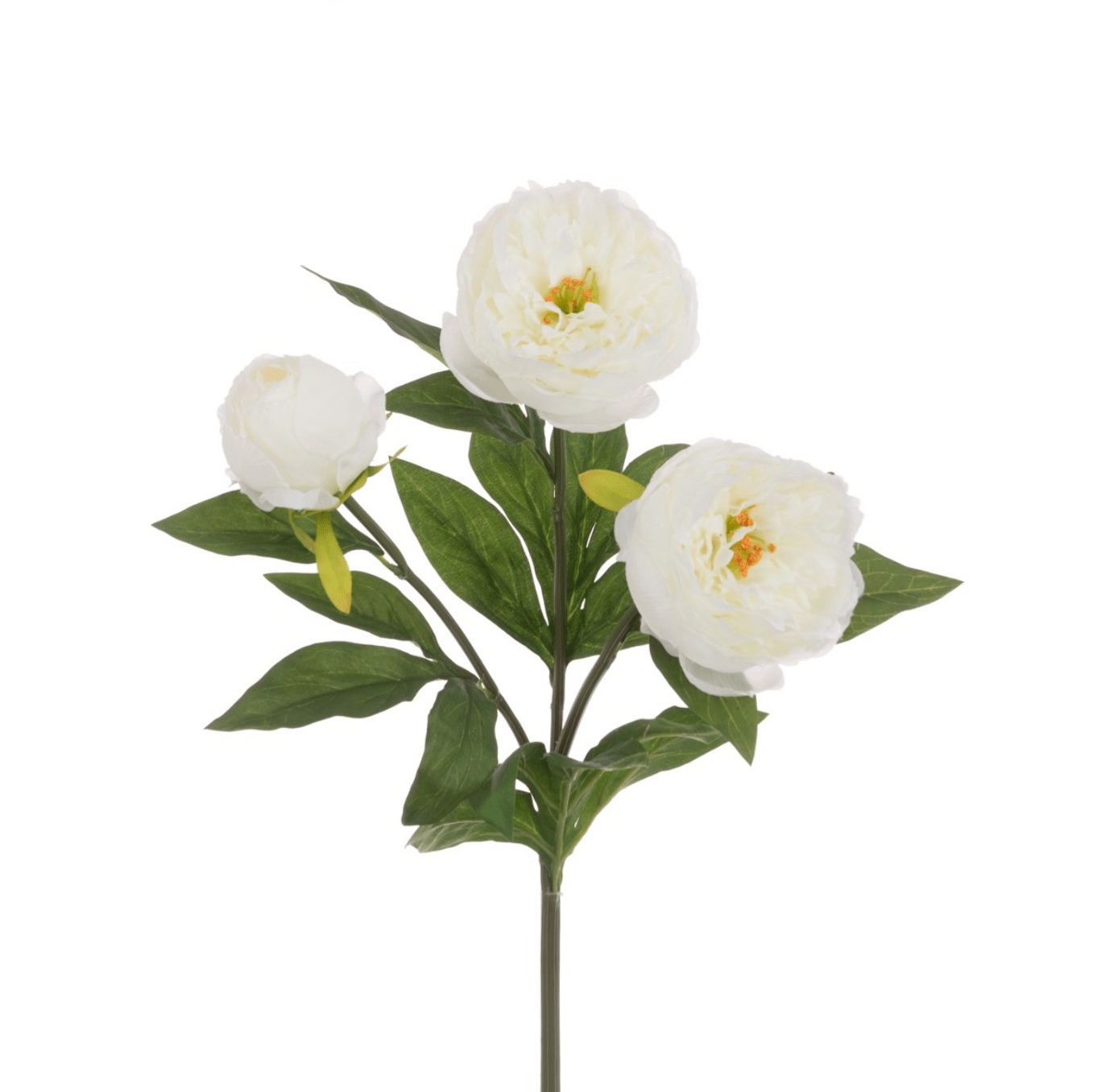 Peony Spray, 3 Flowers