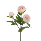 Peony Spray, Light Pink