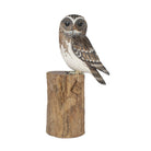 Perched Owl