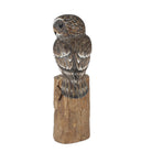 Perched Owl