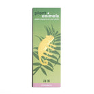 Plant Animal - Chameleon, Garden Decor