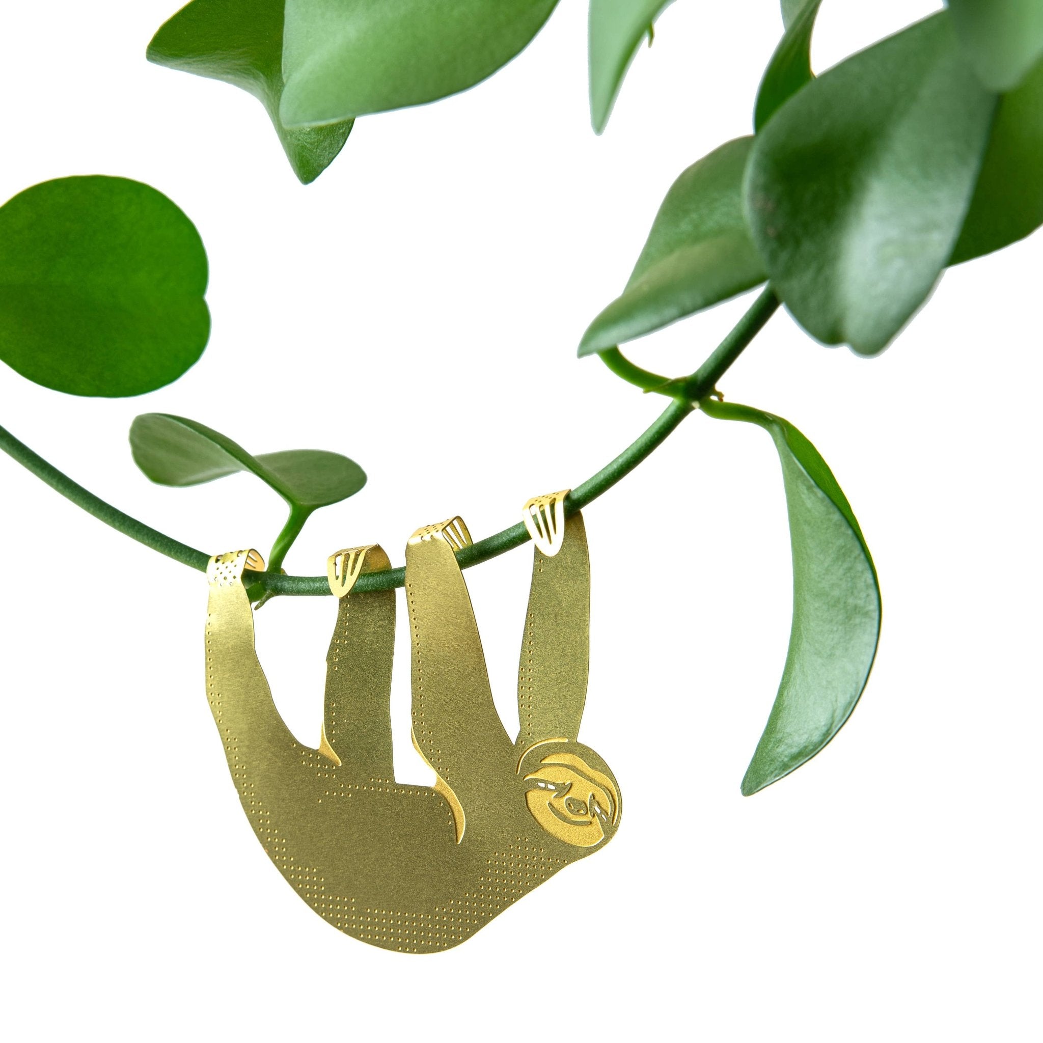 Plant Animal - Sloth, Cute Houseplant Charm
