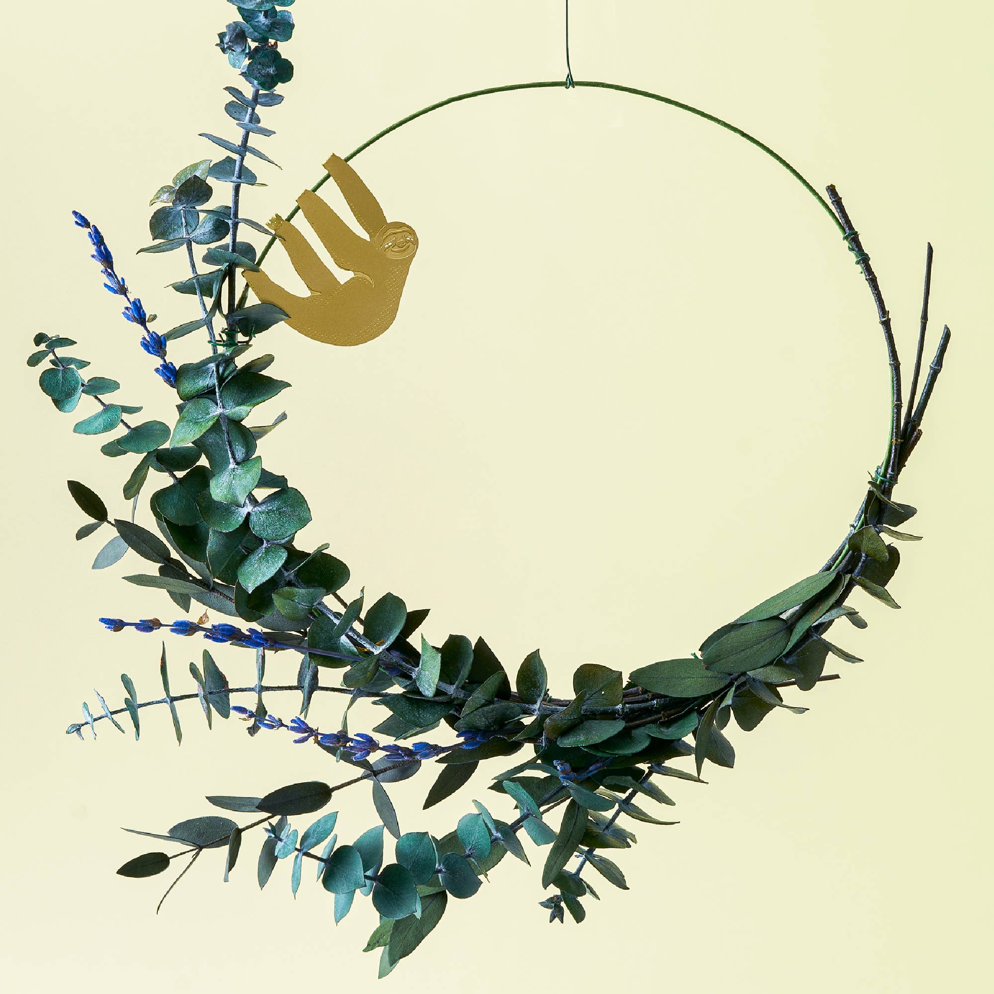 Plant Animal - Sloth, Cute Houseplant Charm