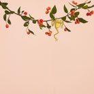 Plant Animal - Tree Frog, Unique House Plant Gift