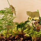 Plant Animal Woodpecker, Bird Houseplant Decoration