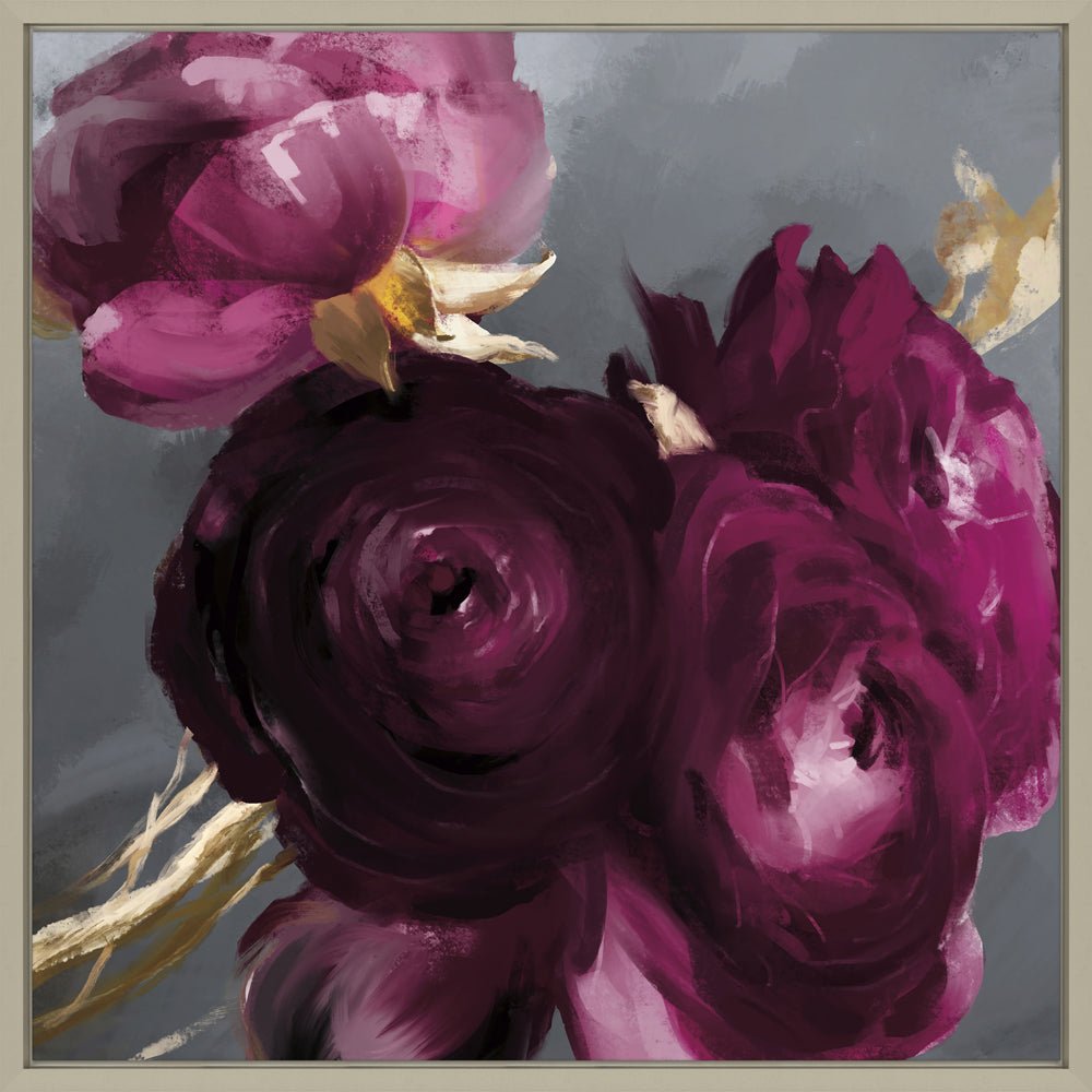 Plum Ranunculas - Angela Reed - 