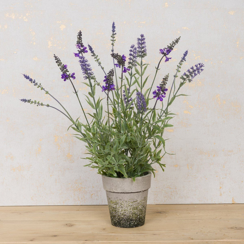 Potted Faux Lavender - Angela Reed - 