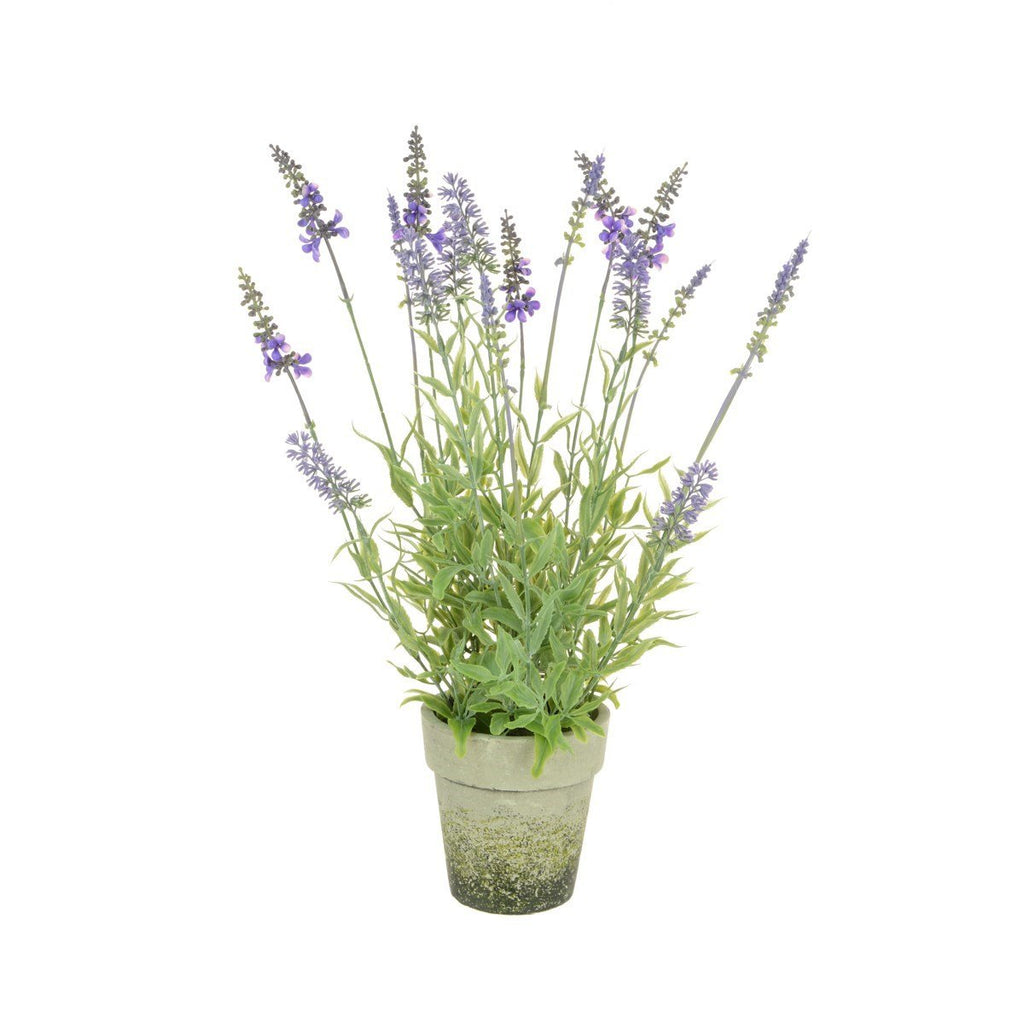 Potted Faux Lavender - Angela Reed - 