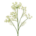 Queen Annes Lace Spray