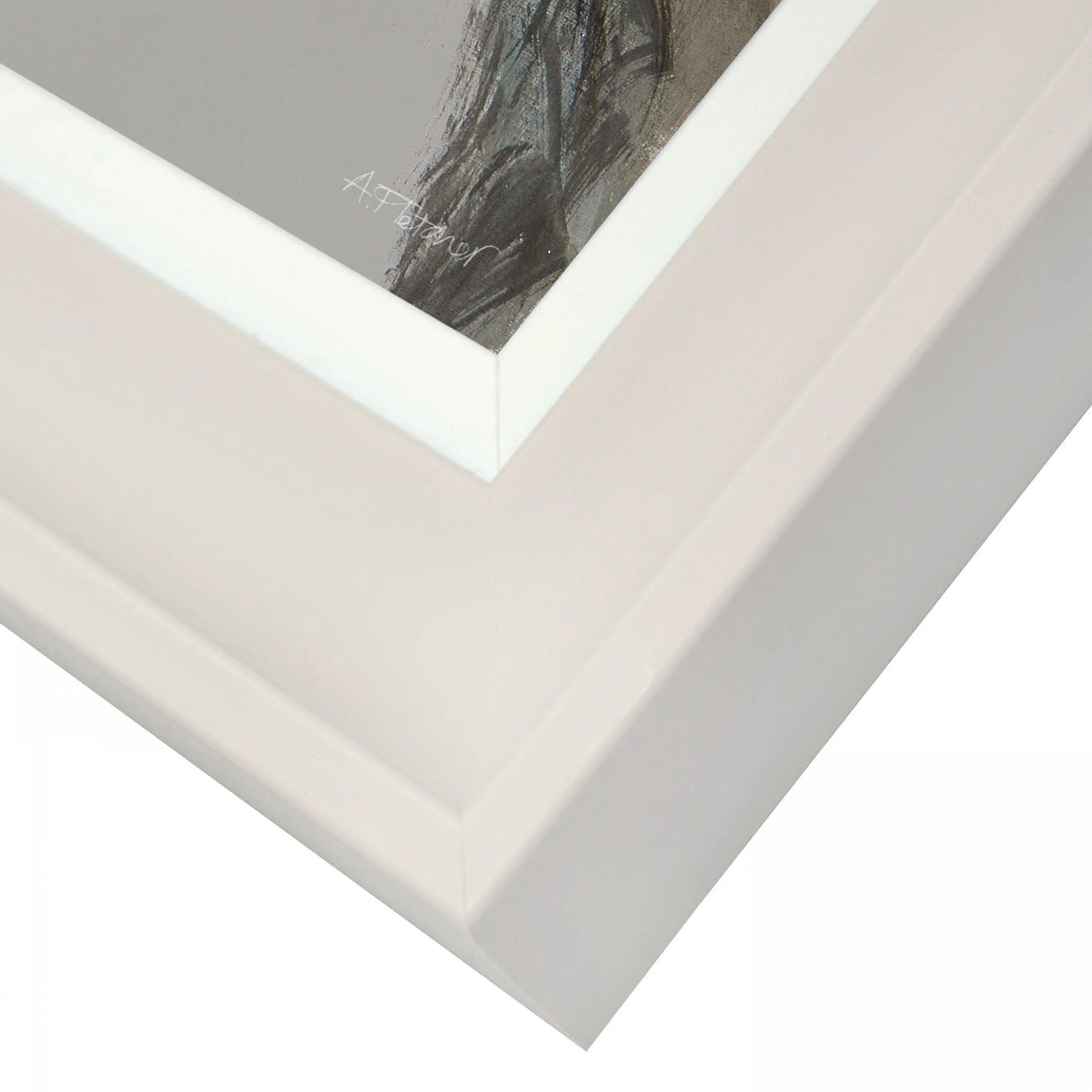 Reggie Framed Canvas - Angela Reed - 