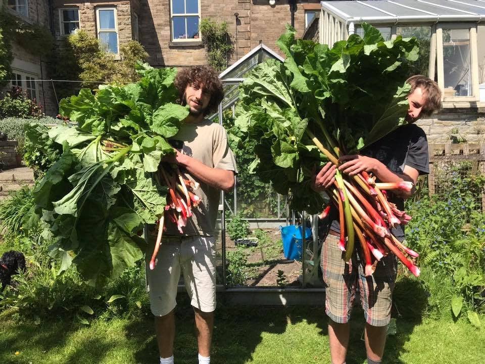 Rhubarb Chilli Jam 400g