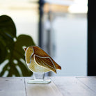 Robin Glass Ornament - Angela Reed - 