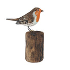 Robin on a Stump